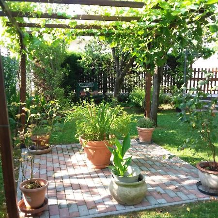 Bed And Breakfast Di Manu Taglio di Po Zewnętrze zdjęcie