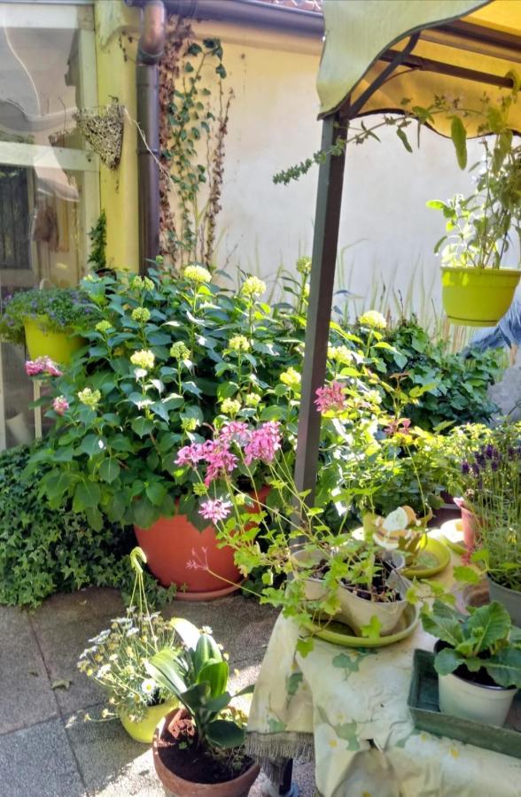 Bed And Breakfast Di Manu Taglio di Po Zewnętrze zdjęcie